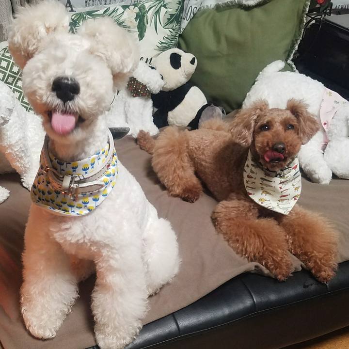 90a25c0e 6ebe 4d79 919e 1fa2b225624e 1524055760952