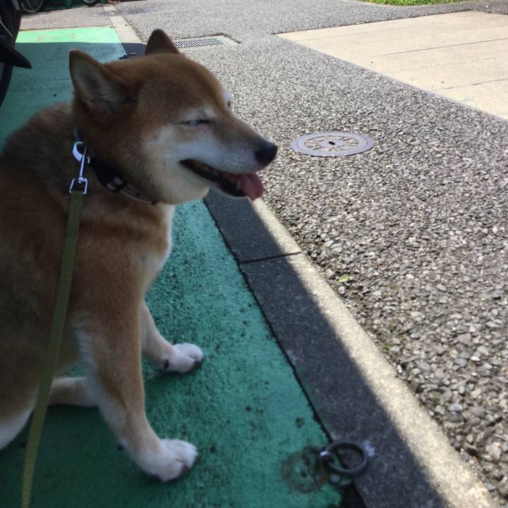 90a26d56 b08c 4008 b486 ef6497f4ab79 1593653900174