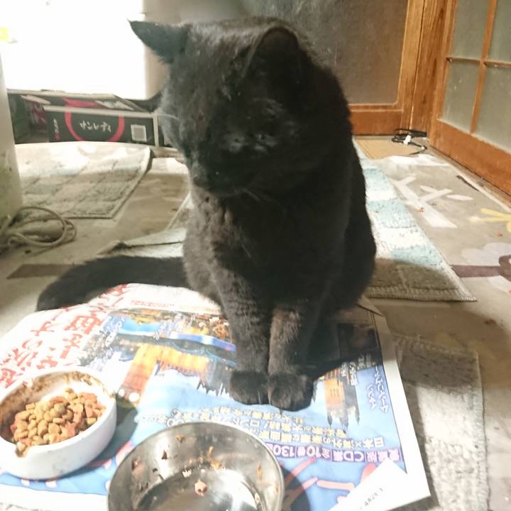 90a2ae2a 1e06 4bf1 905a d19dacc3074f 1652873078604