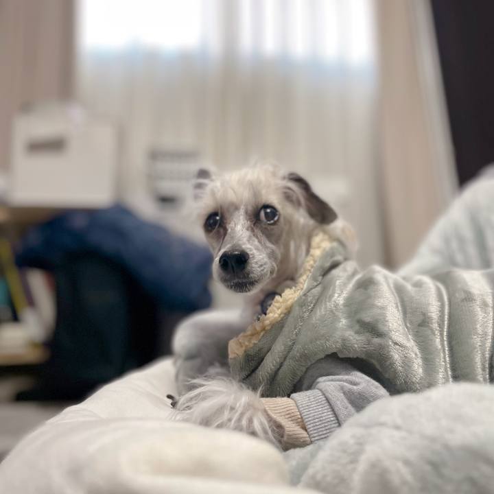 90a2aebc c98f 425b 9c16 3728839da2f3 1765614027941