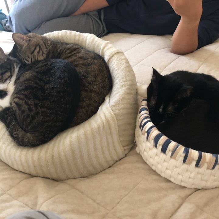 90a2c6b5 6a05 4bd1 8d9b bf3d8704fc1a 1572195455314