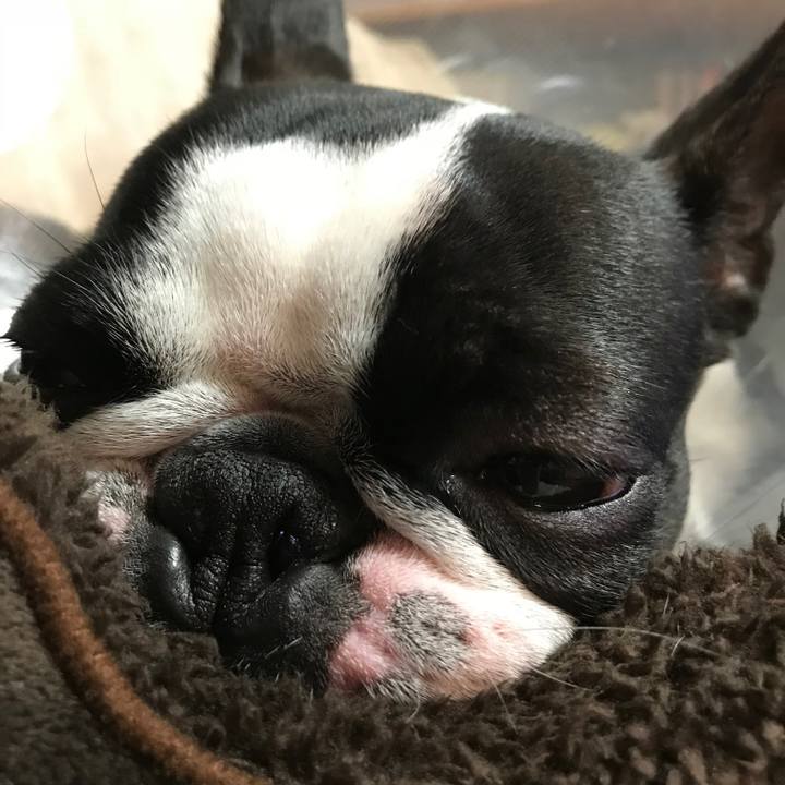 90a2dd0e 62b9 41bd ad77 fd7545057e9a 1512215798227