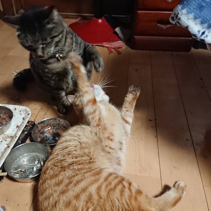 90a2e2e9 019a 449f 8600 2b5c8a133eb0 1650146942831