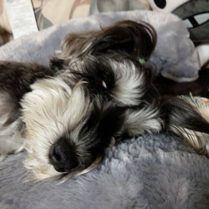 90a2ea09 50e5 48d6 b07f 2e8885eed1e3 1509708780687