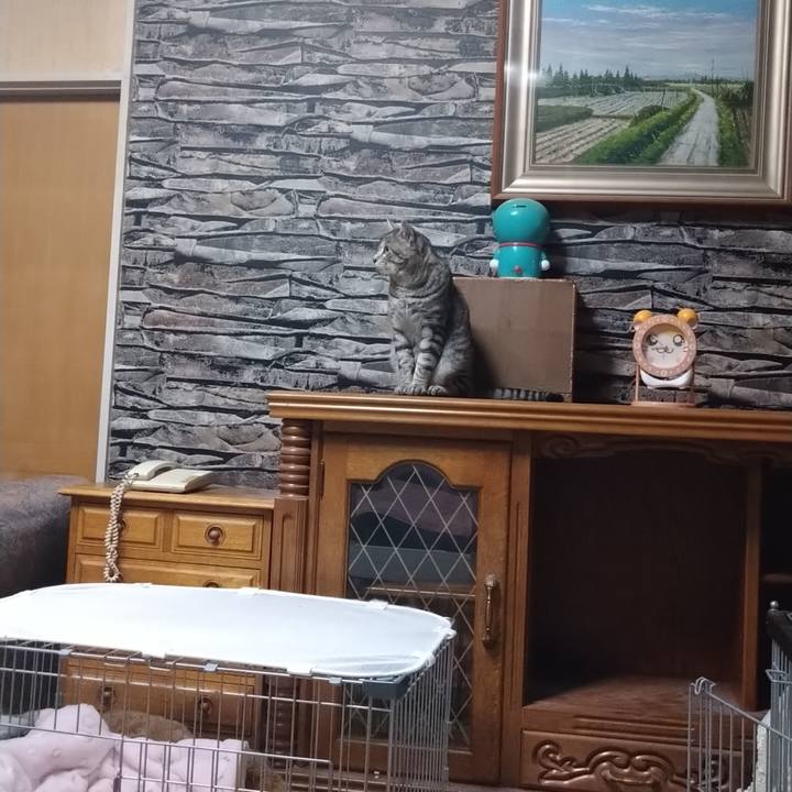 90a2ec0a bd88 46ee 99fe 4ed9411dc81a 1666871633932