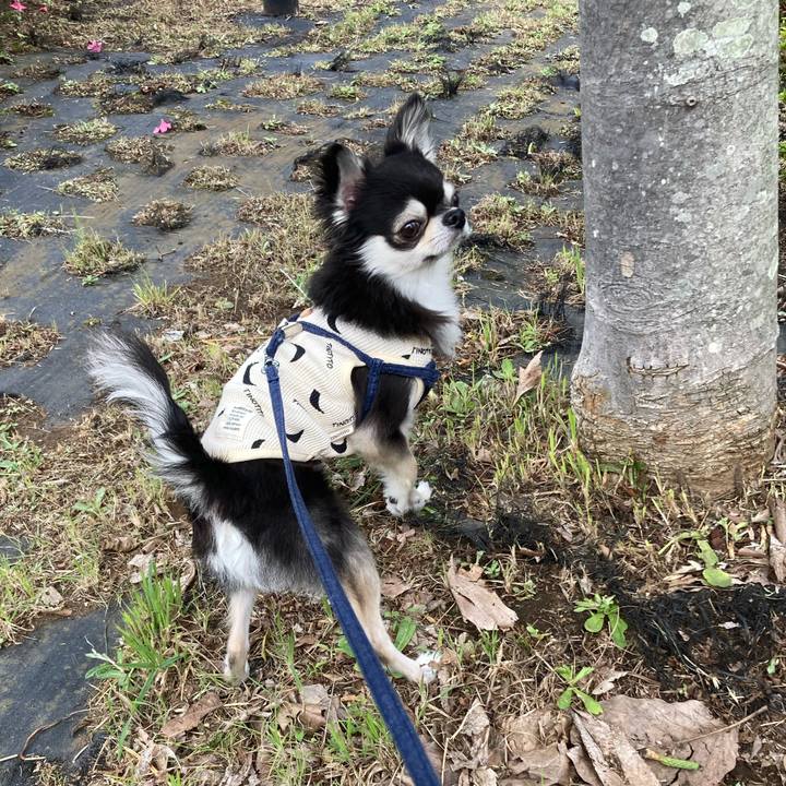 90a32100 5ec0 49dd 940a d0f269047785 1684077245124