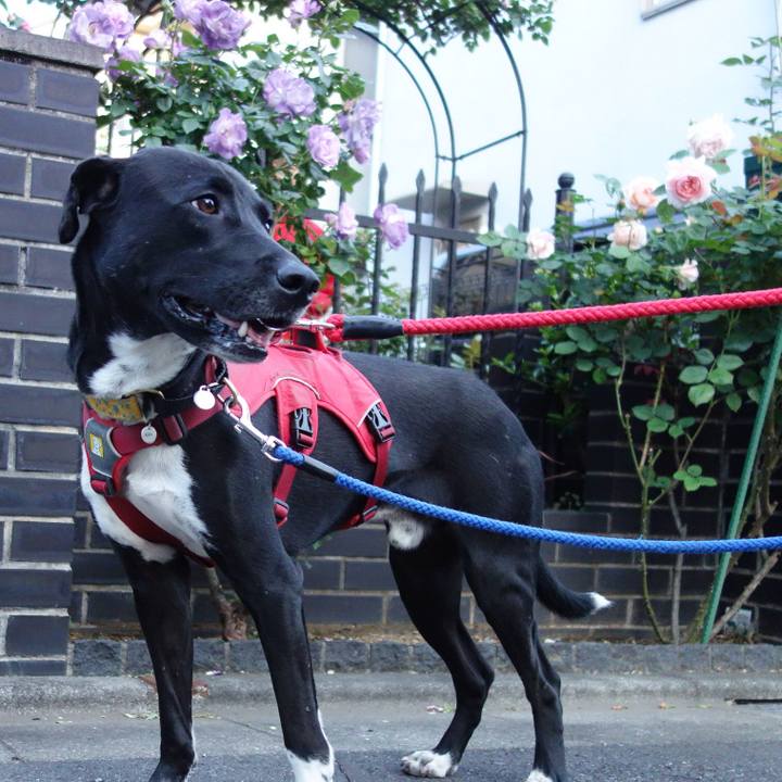 90a37fd3 75e2 49a1 8211 e34401ac06b2 1588850278663