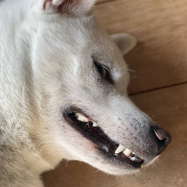 90a3e72f 93e0 4aa3 99a2 0dcdc4a263c5 1645524501471