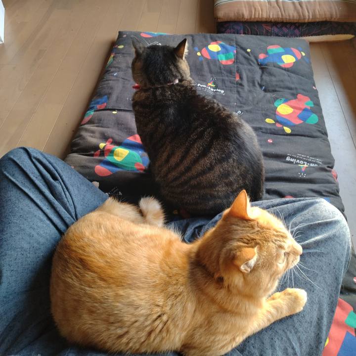 90a3faab 1935 4c53 afcc 3c53c183f4a9 1664401224072