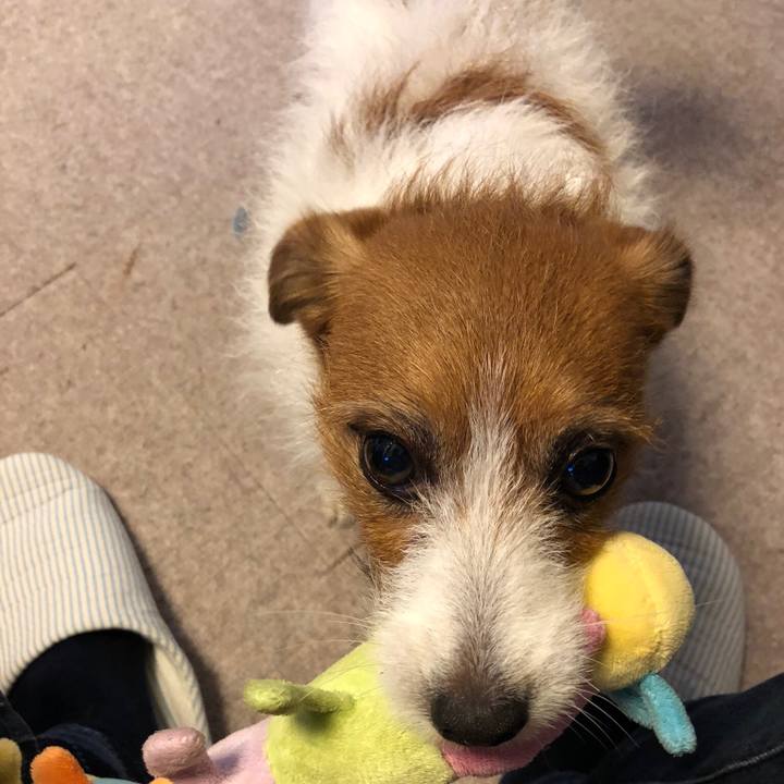 90a403a5 663b 4362 8132 c2a79545789b 1552800715377