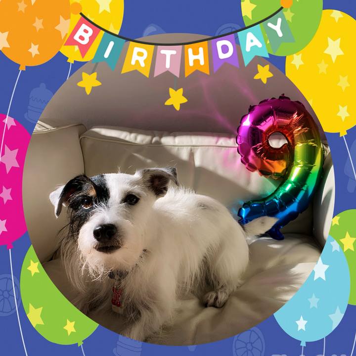 90a41ccd df89 47ce b853 bf453fbd11be 1700452069115