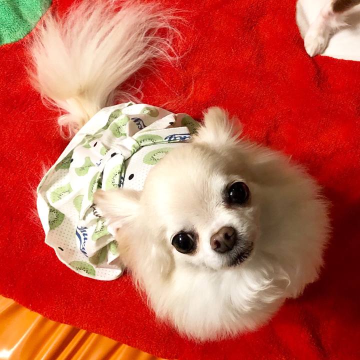 90a43485 833e 4f5d 8720 b11844aff304 1556625882006