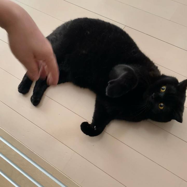 90a4a036 356d 4f3b b6d9 c1d3228b6e46 1721555050655