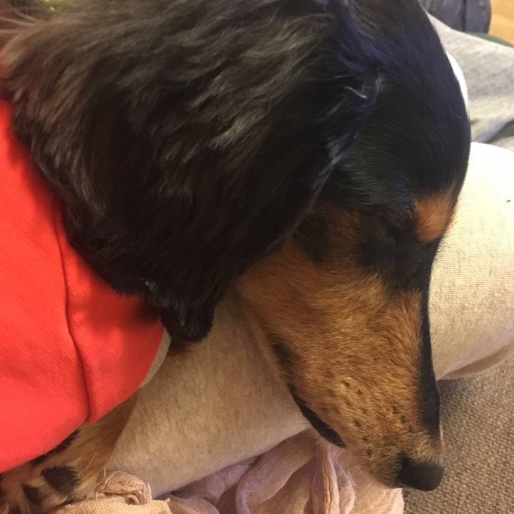 90a4ec57 6adc 4ab2 8403 8214bad4b4a0 1512225409339