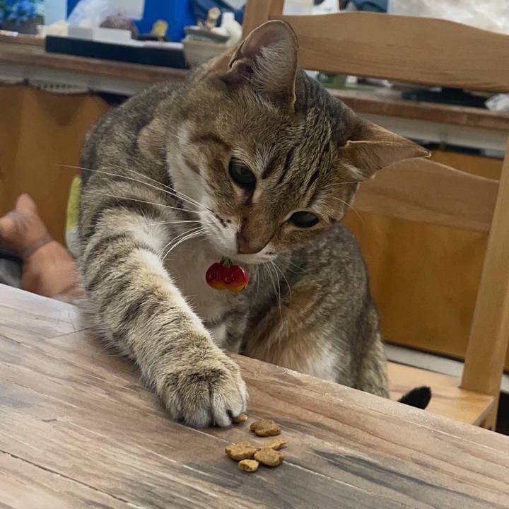 90a4ef5b 005b 45a1 9f5f e038ca25b93b 1748320006924