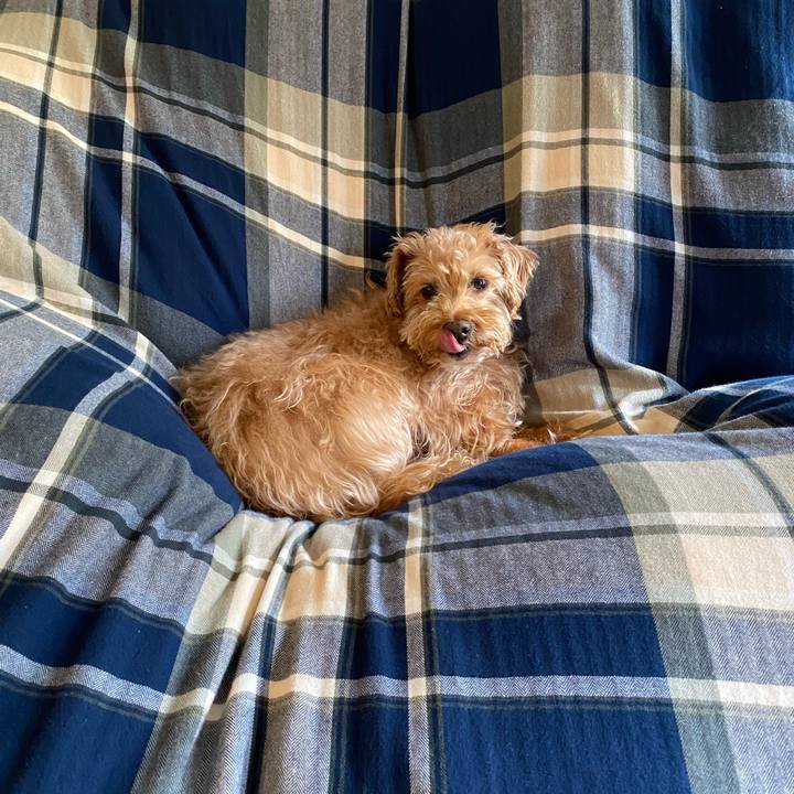 90a5103a 3fc2 4451 ad5e ceb77f8da4a2 1682725644058