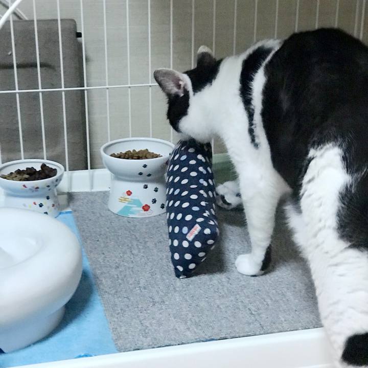 90a51e0f 0f16 40f6 afa8 02da6b5dfbb4 1537752379107