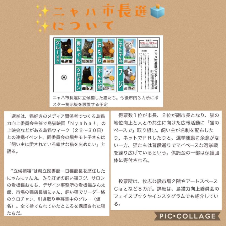 90a55785 ac13 4f1d 8b5b 2b3eeddcdcf8 1537431744076