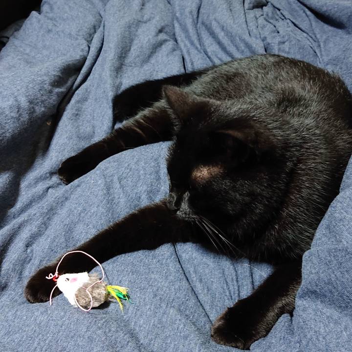 90a5bcc7 65df 45b4 bfb7 167a3875d2c7 1536969123999