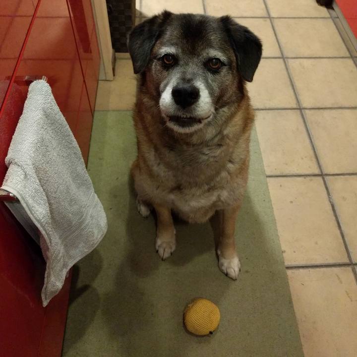 90a65782 6ecf 4e50 a536 840ca386041a 1725926133657