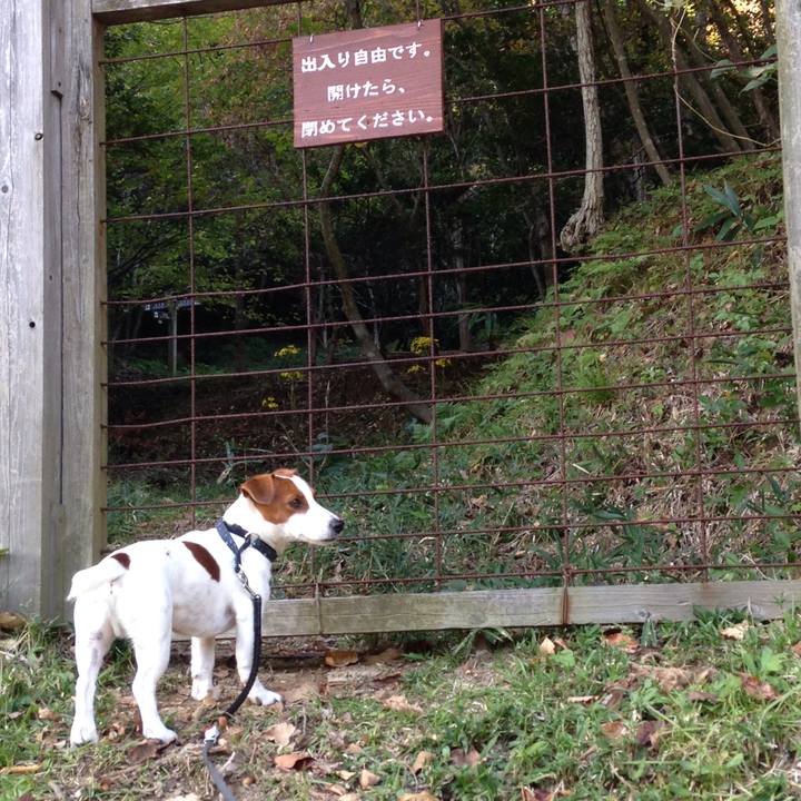 90a67380 1acf 4611 a7de 28702a34ecc3 1509955828636