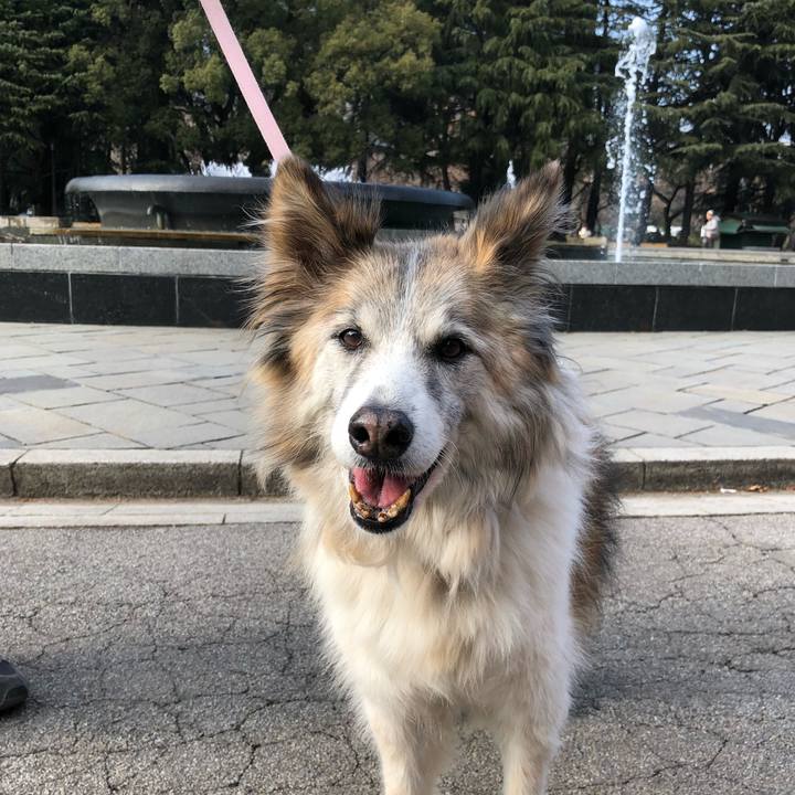 90a67b2a 3e08 4c7b bc07 f3d98acfcb87 1516426608425