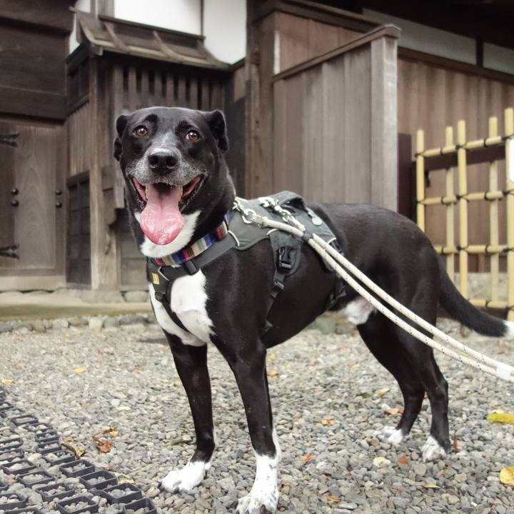 90a6b360 2fe1 48d4 811e 6fb43ebfb2fc 1660608374076