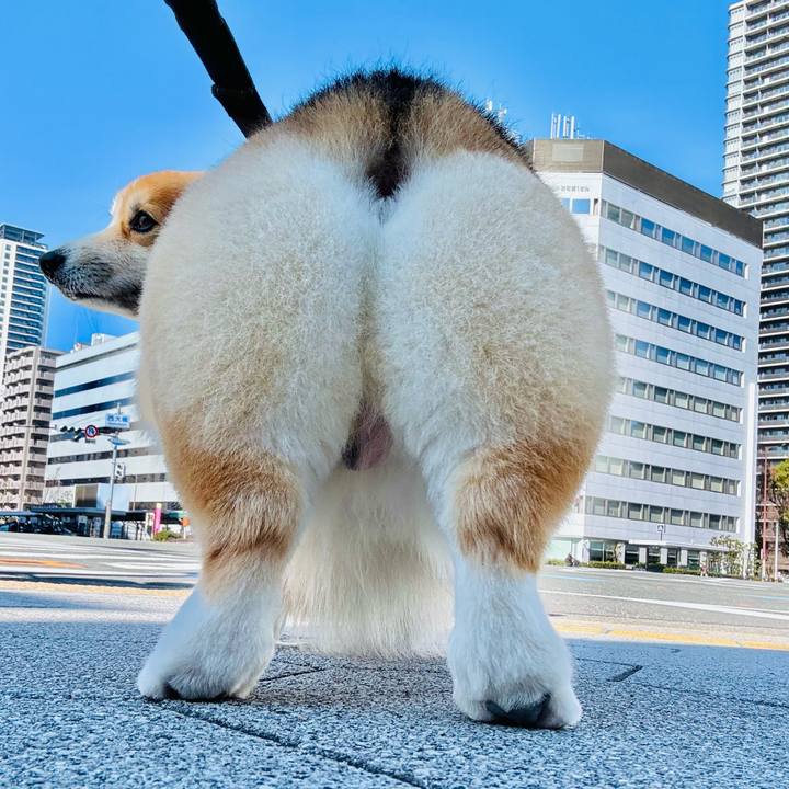 90a6c582 5598 4a84 8eea af730d2aa570 1771891694237