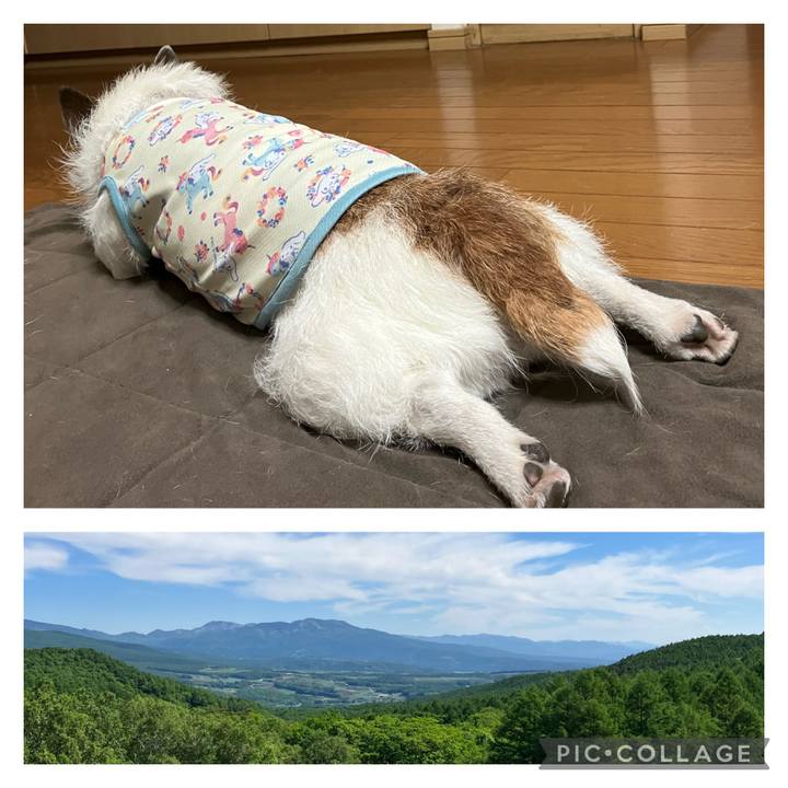 90a6c68d 2357 4edf 813d 4a92eebd0fc5 1686960998678