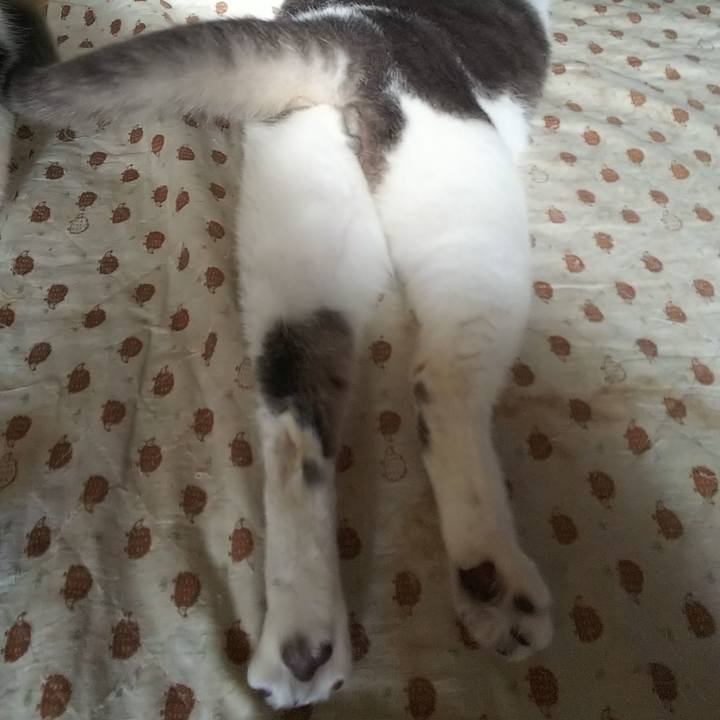 90a6effc 9371 4675 9a5a 593c8e1cf43d 1544000970534