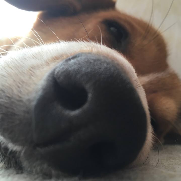 90a6ff98 58f6 4c9e b60c aa7e52535fed 1612488756975