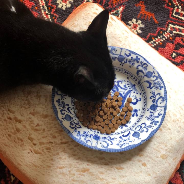 90a7133f 953d 4298 89ed bc9c822078d3 1565485859288