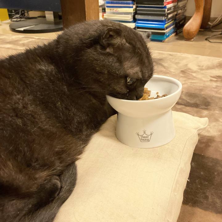 90a72065 ca67 42ad 9a19 e4dfa01a6d28 1592583467577