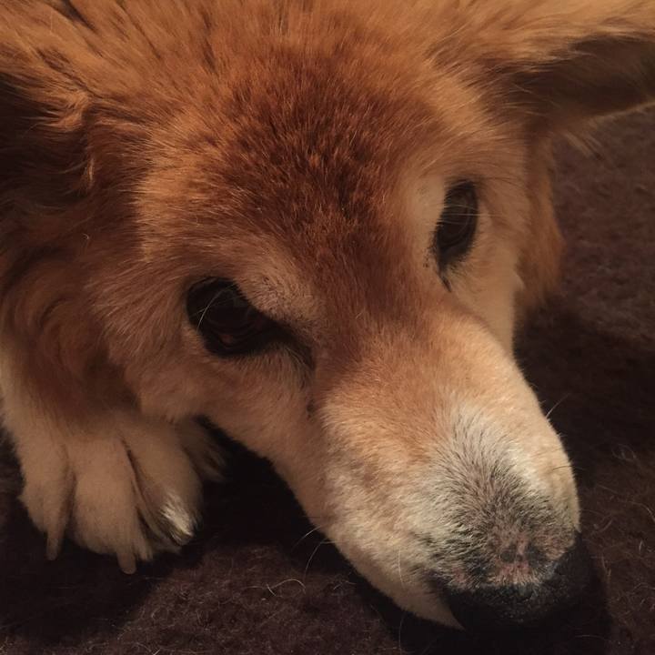 90a73f27 a46b 4ac3 a5a4 07c0a8baac7b 1544952338127