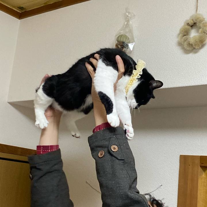 90a74521 1dae 4677 a8f5 6507bf612837 1738413583044