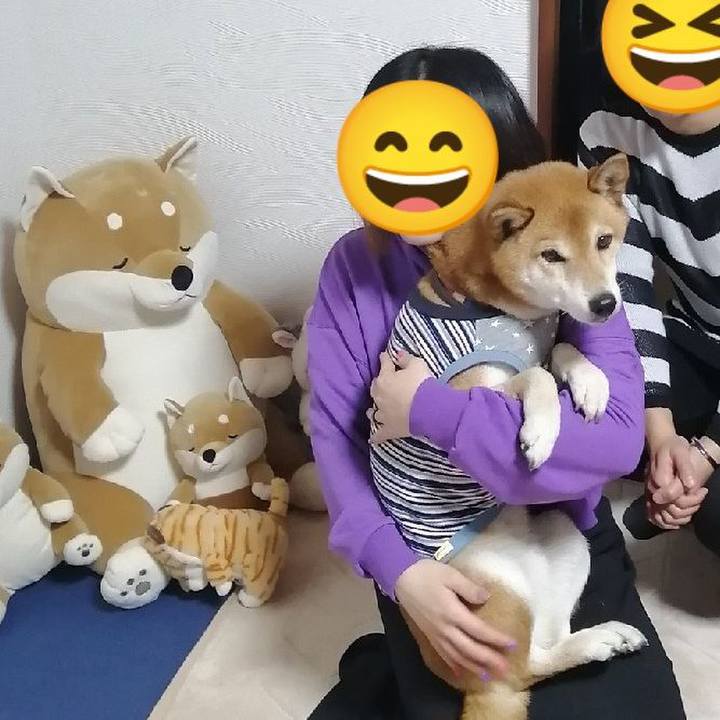 90a74b43 8cd1 4795 bf5a 60b29116bb49 1672750099247