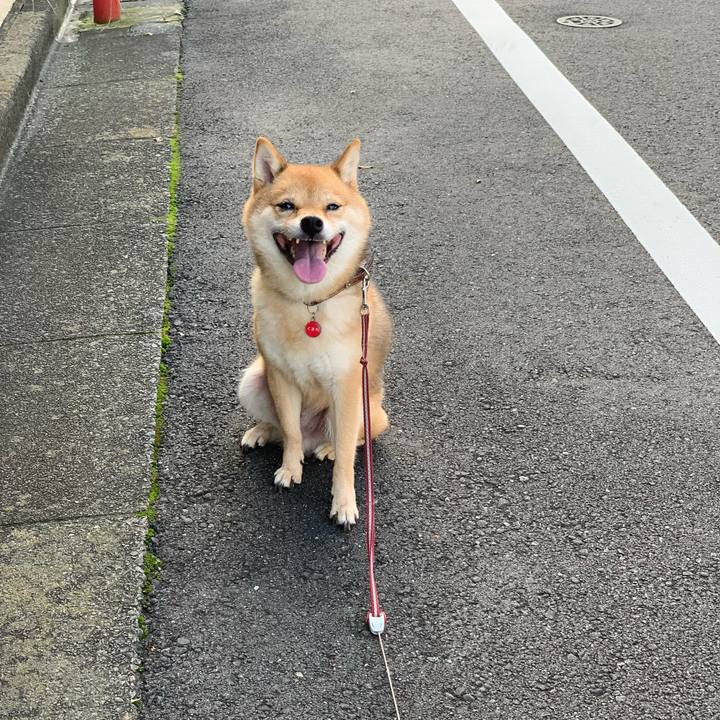 90a75ced 06ad 499a a94e 10333e59f201 1790066698508