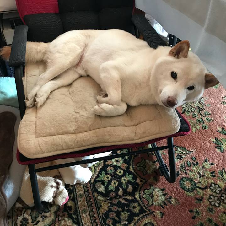 90a78b0f 56fe 4c2b 9e33 82e1009bb8cc 1634188906285