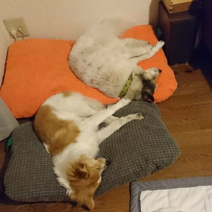 90a7a00b 6b12 442b a05e 424de4601220 1518263556197