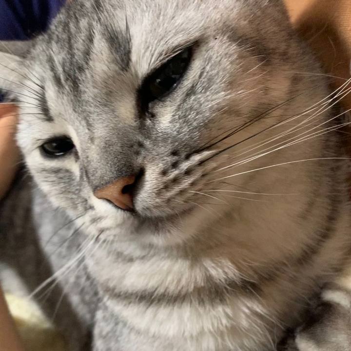 90a80324 e16e 469d 9c5c 55fc741dbd3d 1634512778239