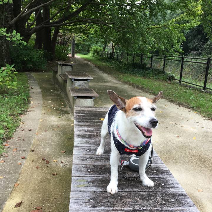 90a83e1f cc17 406c 8c83 820ecaedee01 1631575849483