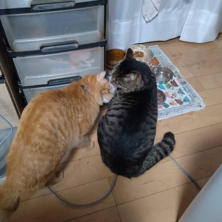 90a84118 c0d8 4be6 a1be 4753b24097d4 1672097031799