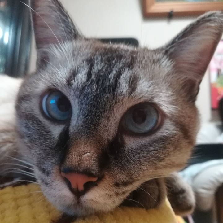 90a8783e 7dc0 49cd 94d8 fc20bc814789 1536489680631