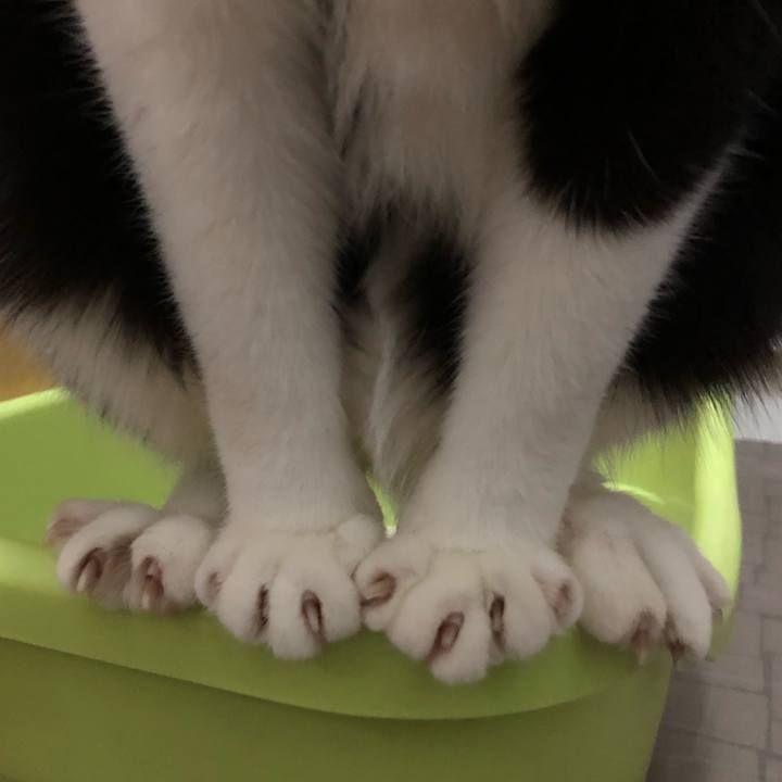 90a8856a 695f 459f b558 69f848a95c48 1608981959382