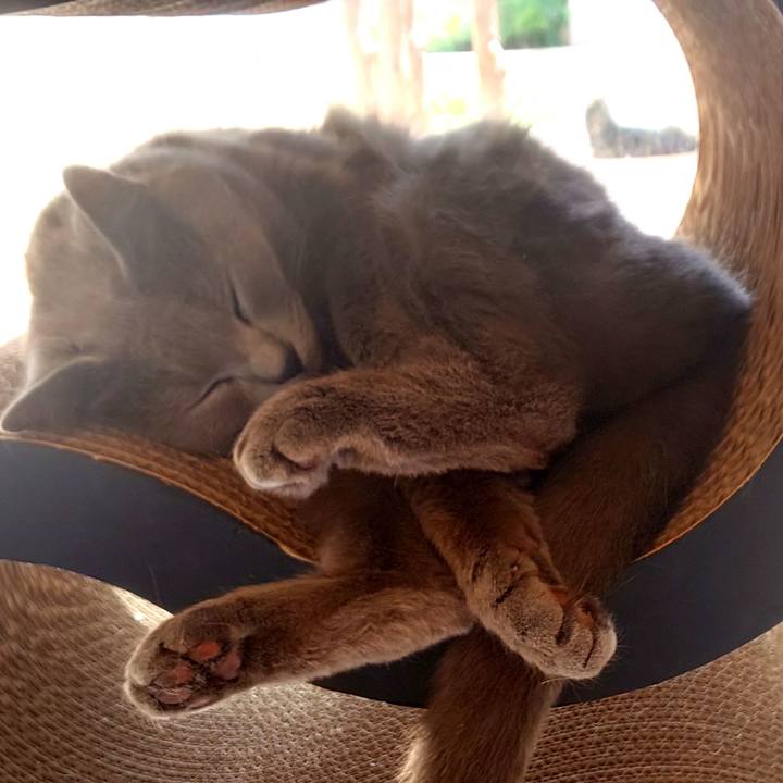 90a895da b07d 450b b187 90dae935e89a 1560740161166