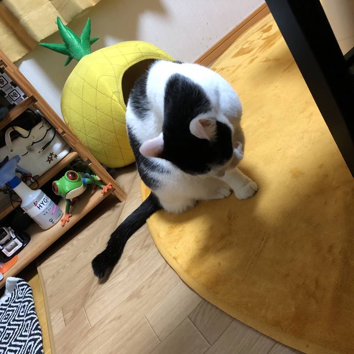 90a8b017 a73e 4ea9 8f72 7c637d50cfdf 1542276992550