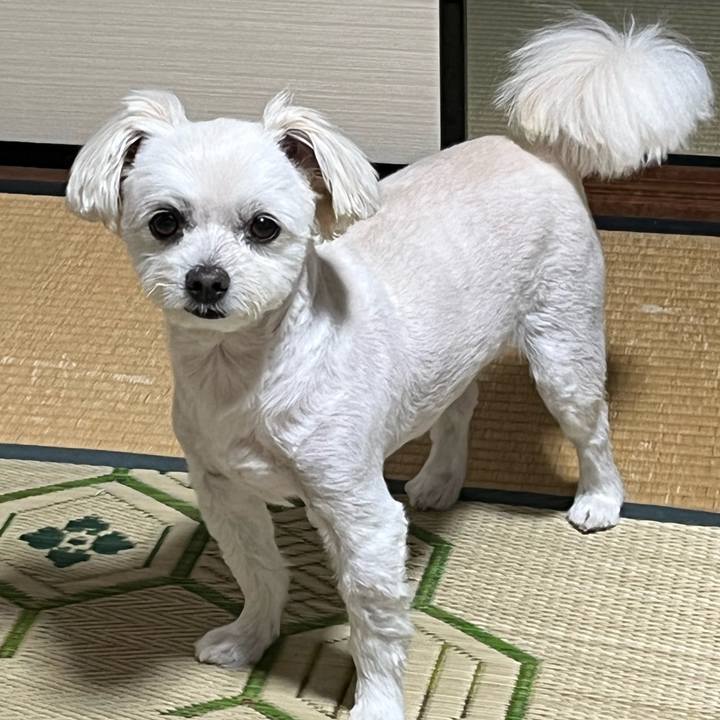 90a8dfcc 06f9 426a 91f3 518736c8d83b 1658314024055