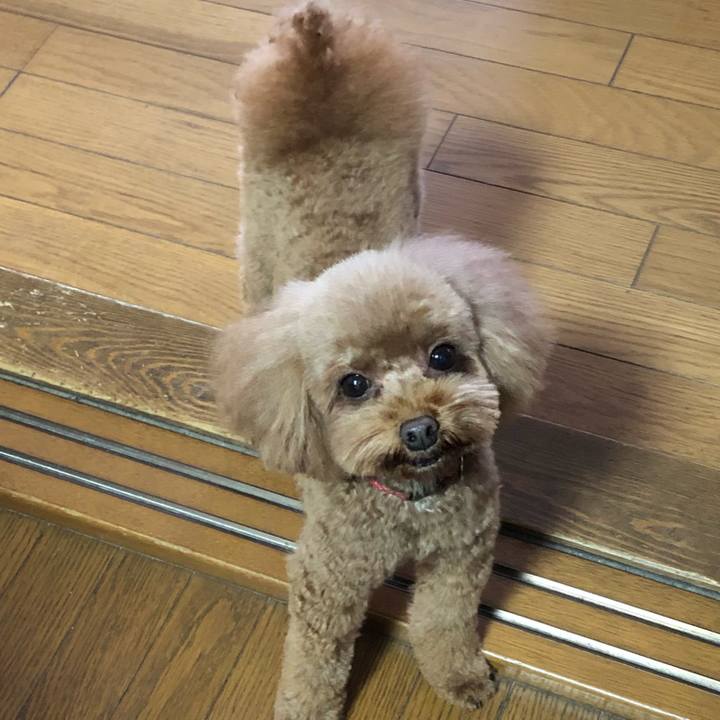 90a8f28b 2e2d 4e2e 9b02 fc7be28a9b5e 1605937085236