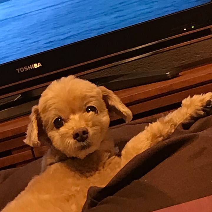 90a91237 e747 4e4a 956a 779995791b09 1559906686687