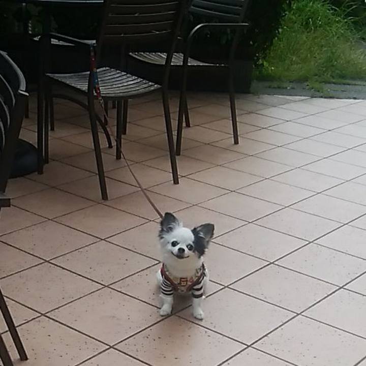 90a91683 87e6 4fb3 b0f8 1874c66f7689 1571566420315